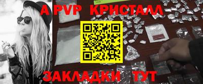 кокс Кингисепп