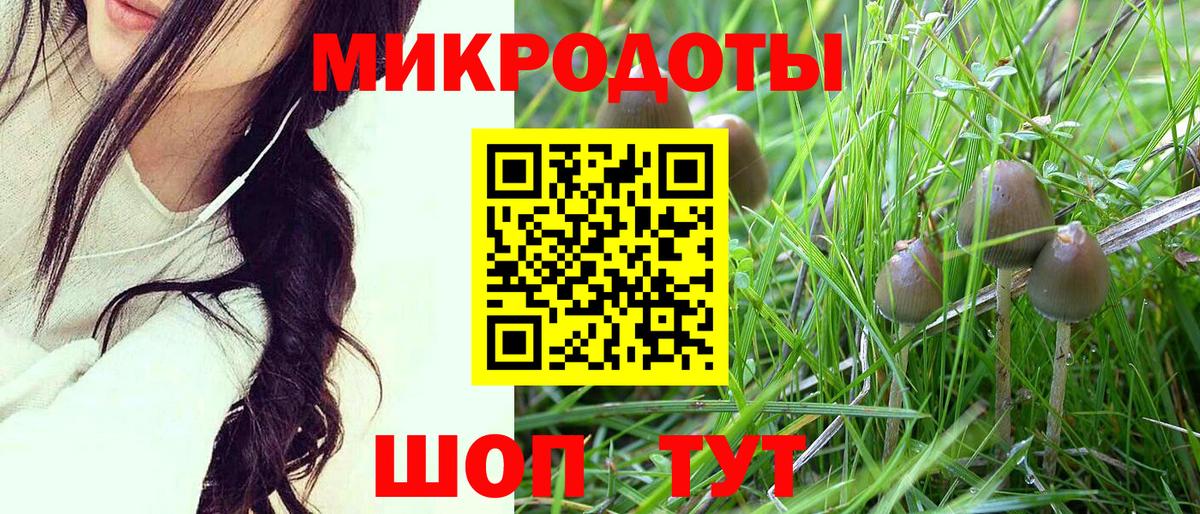 Стерлитамак  Псилоцибиновые грибы Magic Shrooms  Галлюциногенные грибы Magic Shrooms  Вход с VPN 