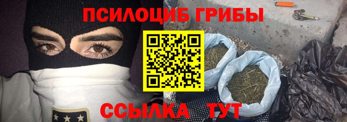 Псилоцибиновые грибы GOLDEN TEACHER Стерлитамак
